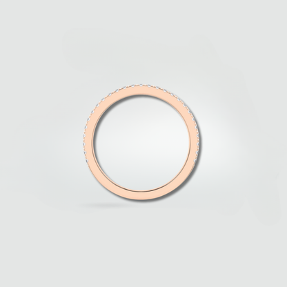 The Pilgrimage Collection — Solace Edition