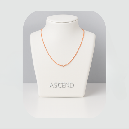 The Pilgrimage Collection — Solace Edition